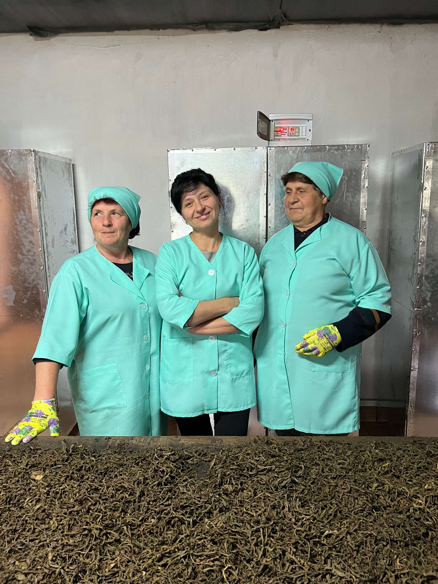 Drei Frauen vom Team der Produktion des Bio-Kräutertees Ivan Chai von Conflictfood in der Ukraine hinter einem Tisch mit getrockneten Kräutern.