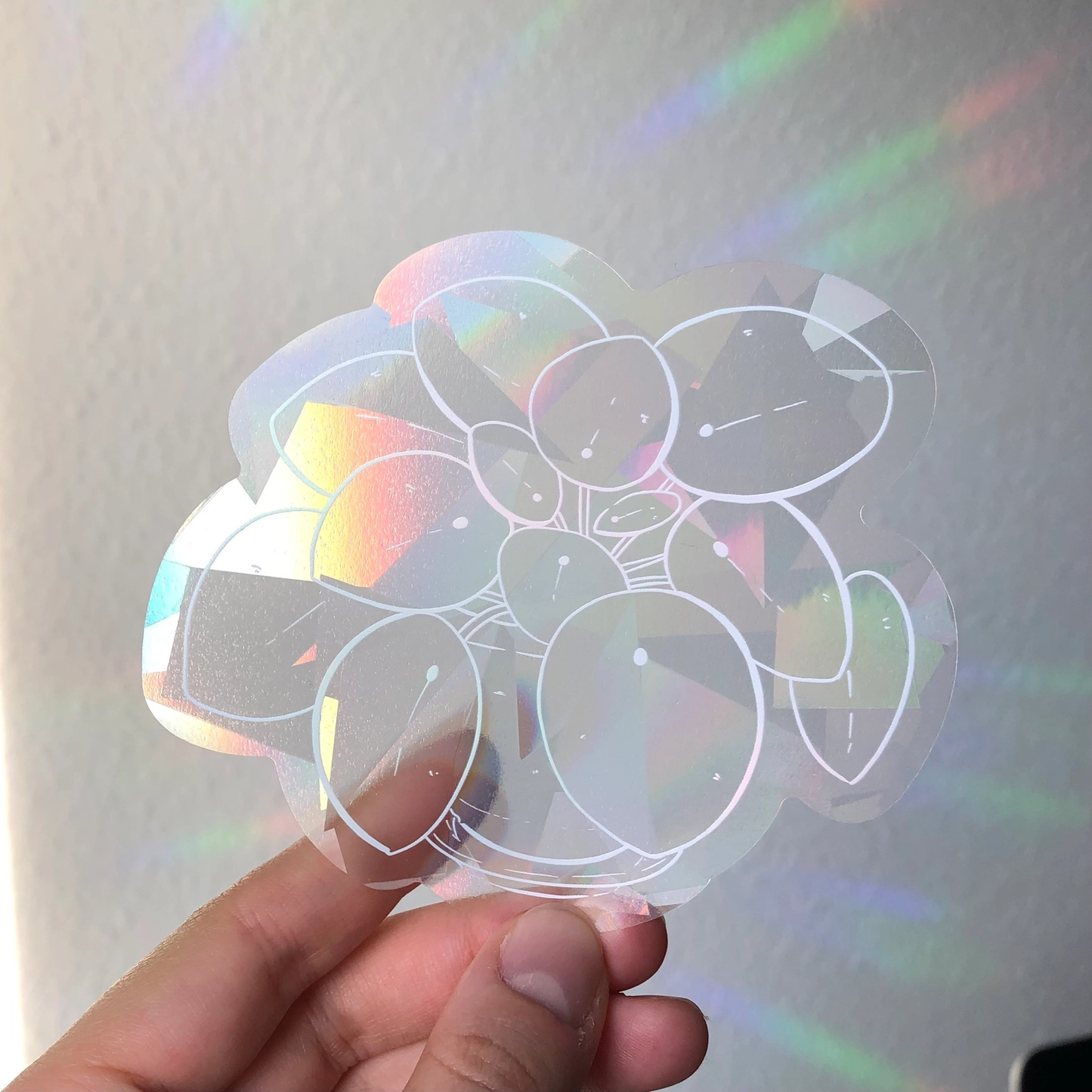 suncatcher weiße pilea pflanze