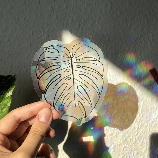 Suncatcher Sticker Monstera von Plantyintroverts in Hand mit Regenbogen an Wand.