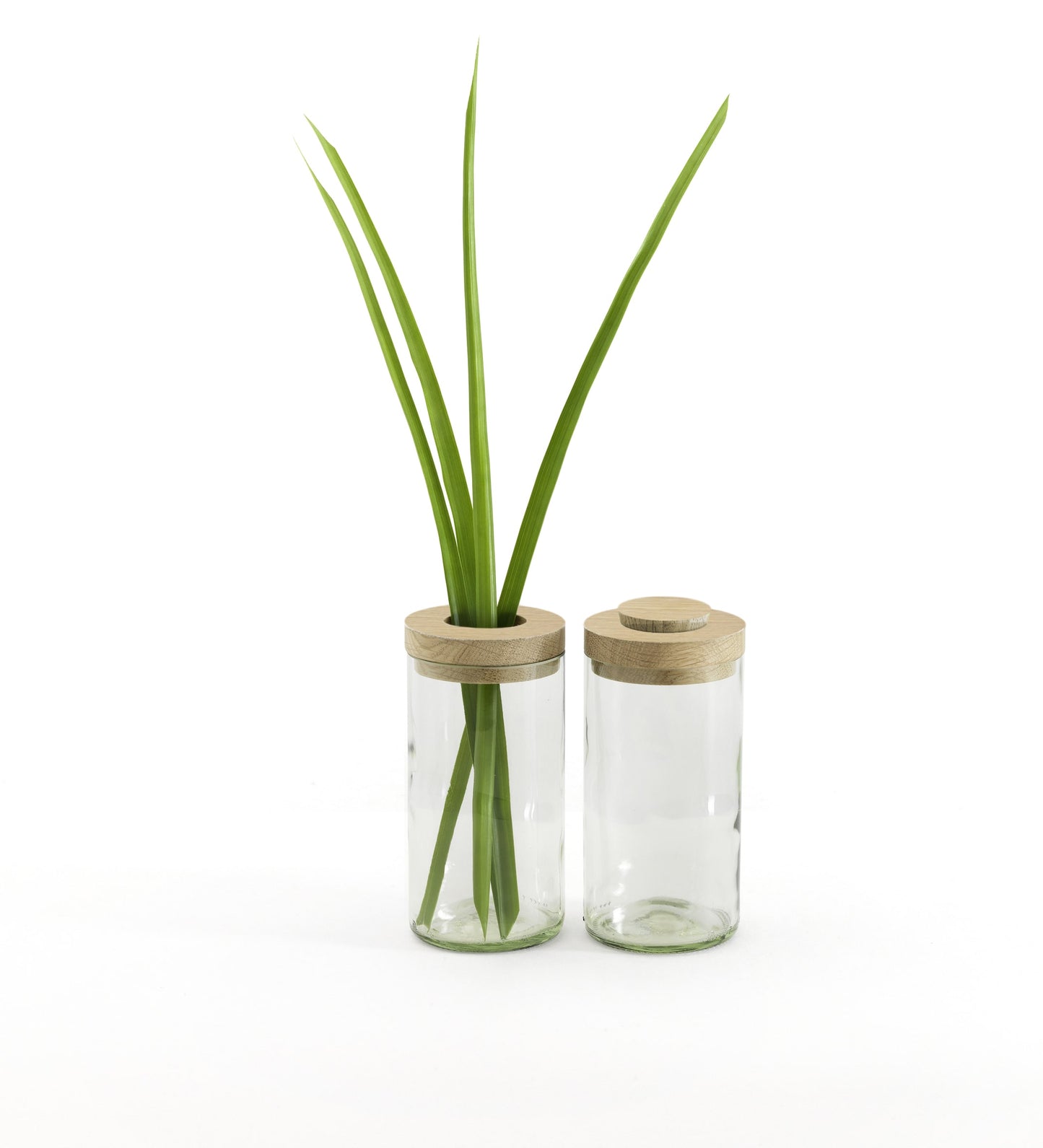Vase & Dose - sidy by side
