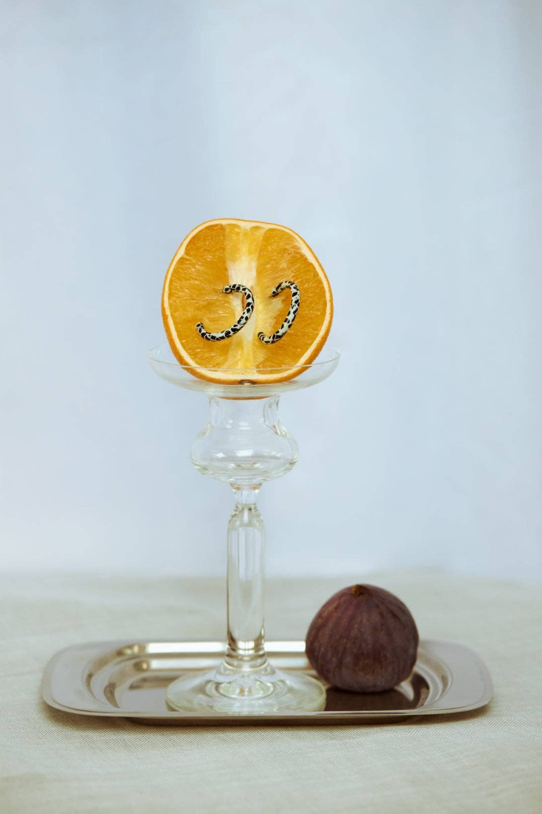 Ohrringe - Loop Dott  | sasstie