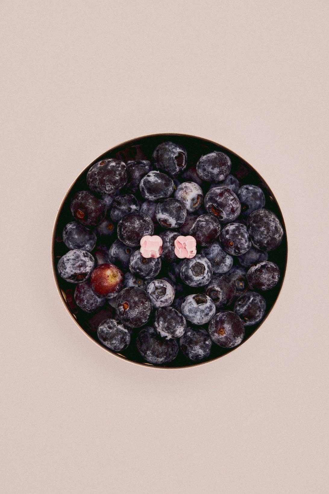 Ohrringe - Stecker Core Berry sasstie