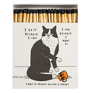 I do it because I can | Sicherheitsstreichhölzer - Archivist Gallery