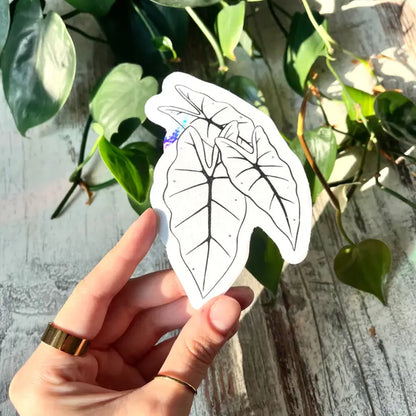 Suncatcher Sticker fürs Fenster - plantyintroverts