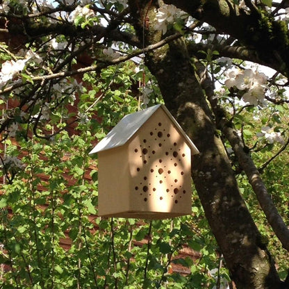 Bienenhotel "Bee's Inn" von side by side hängend im Kirschbaum