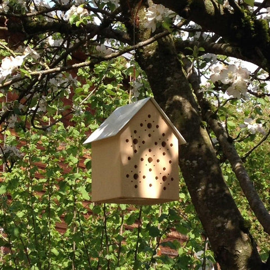 Bienenhotel "Bee's Inn" von side by side hängend im Kirschbaum