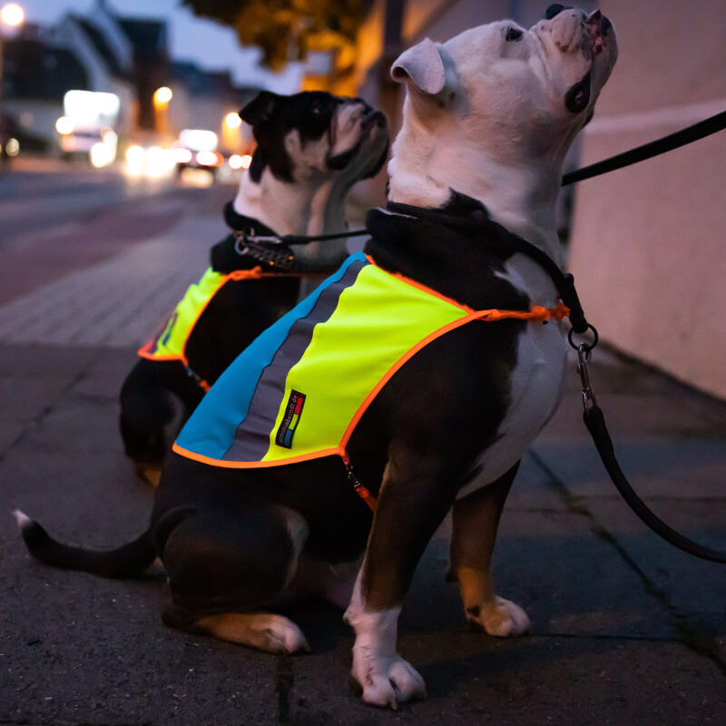 Hunde Warnwesten Hundeweste Leuchtweste rot gelb schöne Warnweste Bunter Hund Signalweste Turnbeutel reflex neon fair Bielefeld Hundeaccessoires