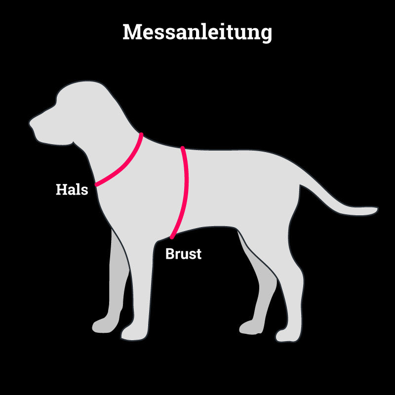 schöne Warnweste Bunter Hund Signalweste Turnbeutel reflex neon fair Bielefeld Hundeaccessoires