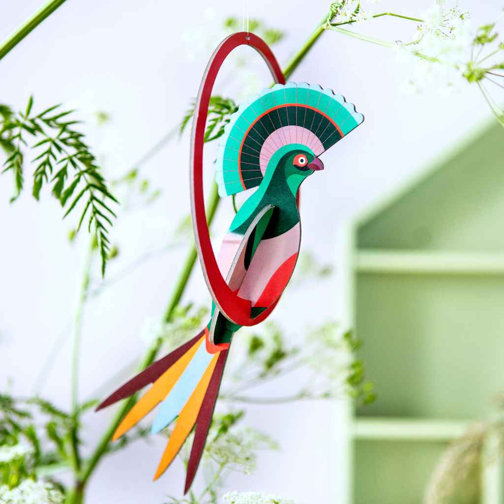 Grußkarte mit Papier Bastelset Paradiesvogel Mobile -studio ROOF