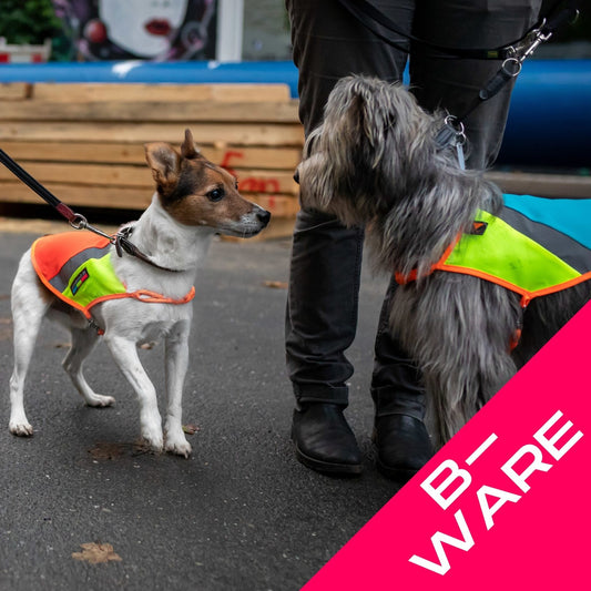 hunde mit warnwesten auf der straße b-ware sale