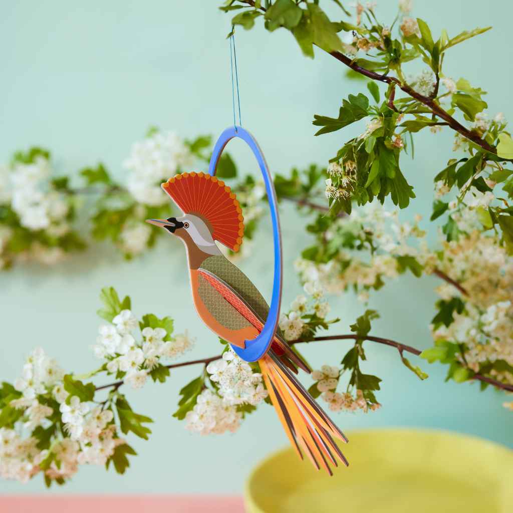 Grußkarte mit Papier Bastelset Paradiesvogel Mobile -studio ROOF