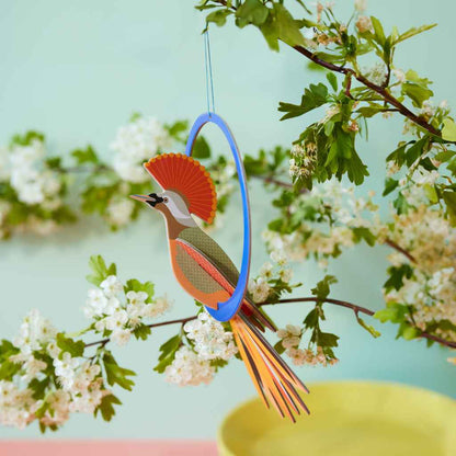 Grußkarte mit Papier Bastelset Paradiesvogel Mobile -studio ROOF