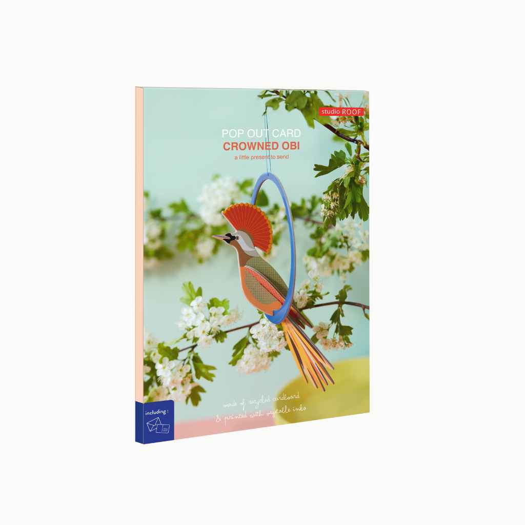 Grußkarte mit Papier Bastelset Paradiesvogel Mobile -studio ROOF