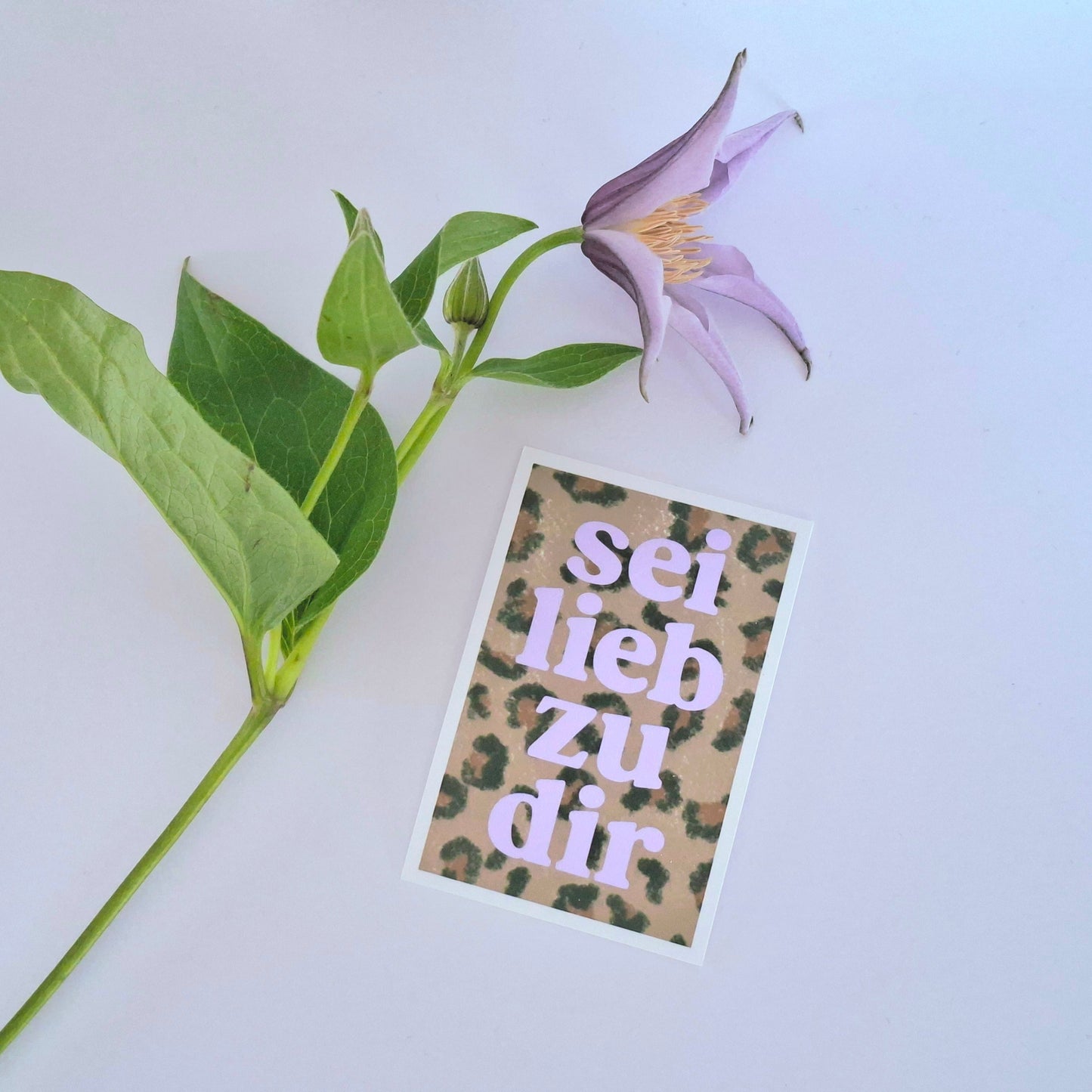 Sticker sei lieb zu dir Schriftzug auf leoprint