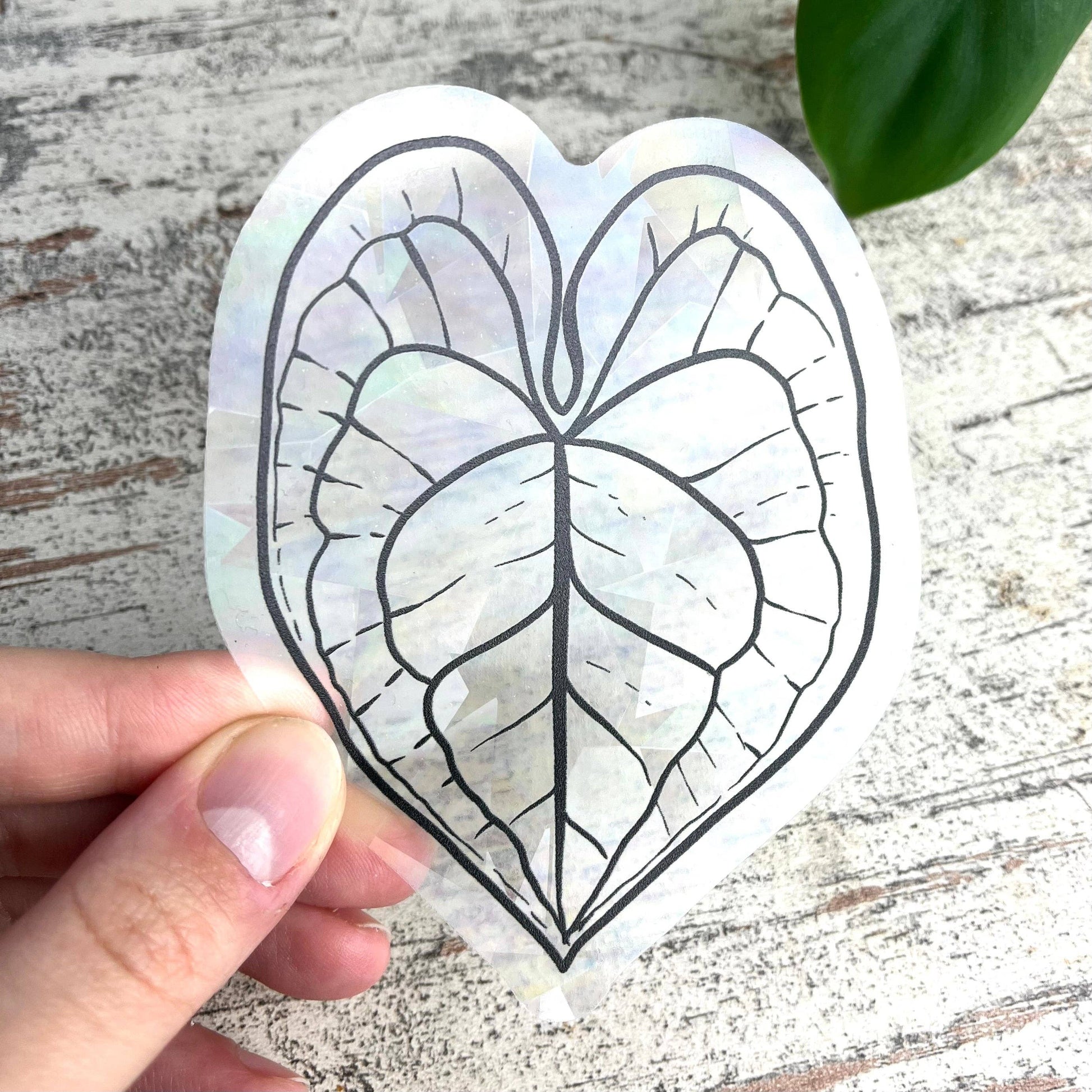 blattförmiger suncatcher als fenstersticker