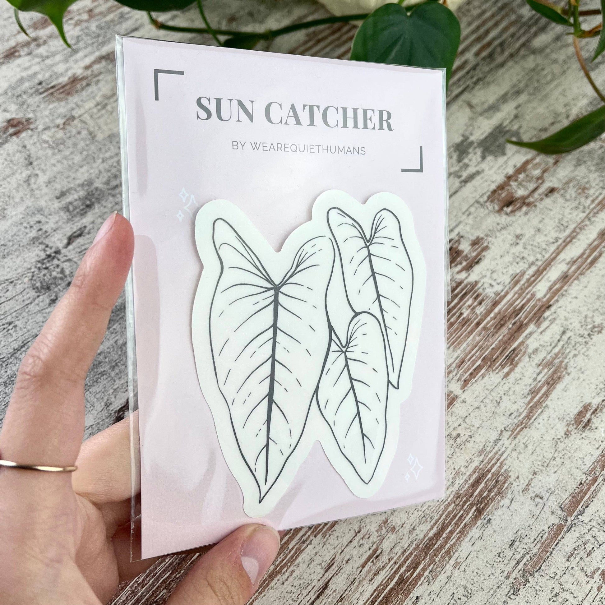 Suncatcher Sticker von Plantyintroverts verpackt in hand gehalten.