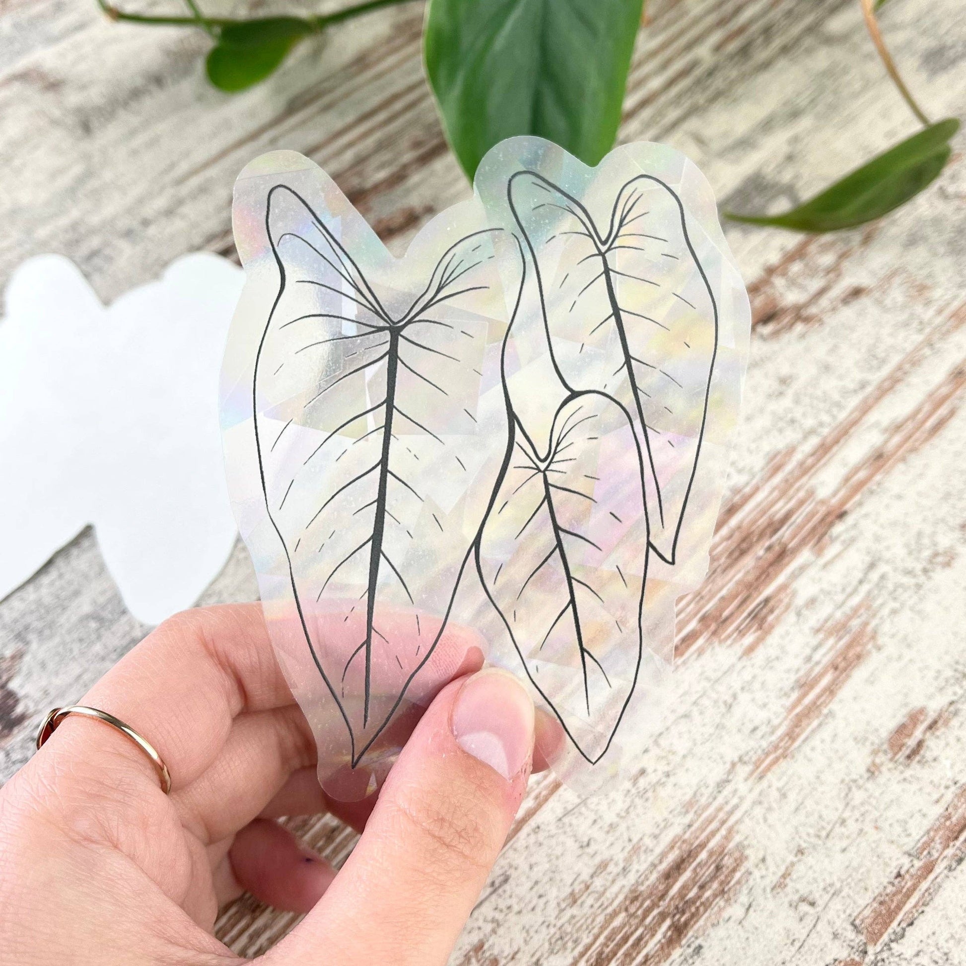 Suncatcher Sticker Philodendron von plantyintroverts ohne Verpackung und Folie in Hand.