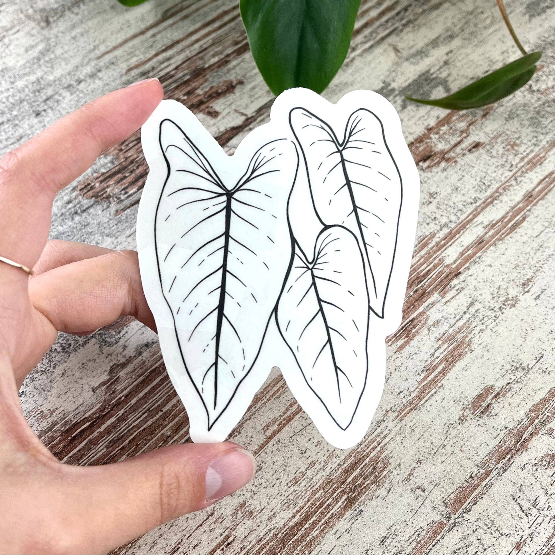 Suncatscher Sticker Philodendron von plantyintroverts in Hand gehalten.
