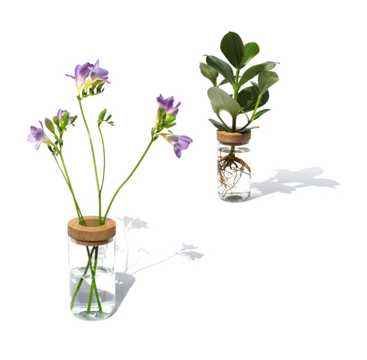 Vase & Dose - sidy by side