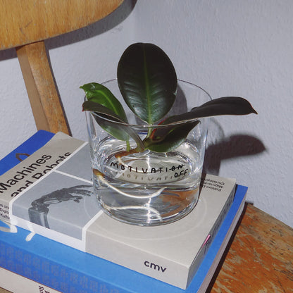 Glas mit Aufdruck Motivatioff mit Pflanzenableger